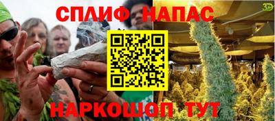 гашик Янаул