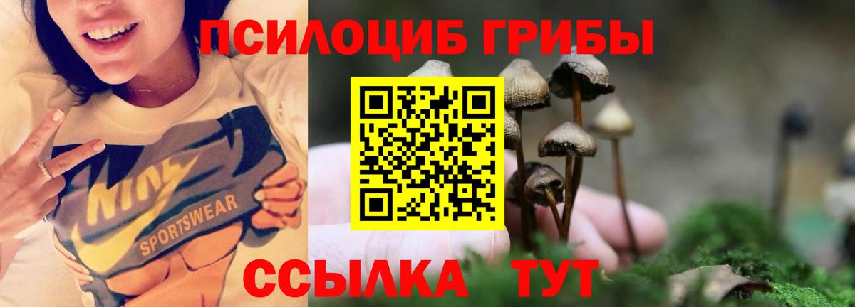 Псилоцибиновые грибы прущие грибы  наркошоп  Новокубанск  Вход с VPN 
